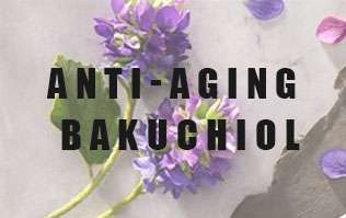   Anti-aging new star-Bakuchiol